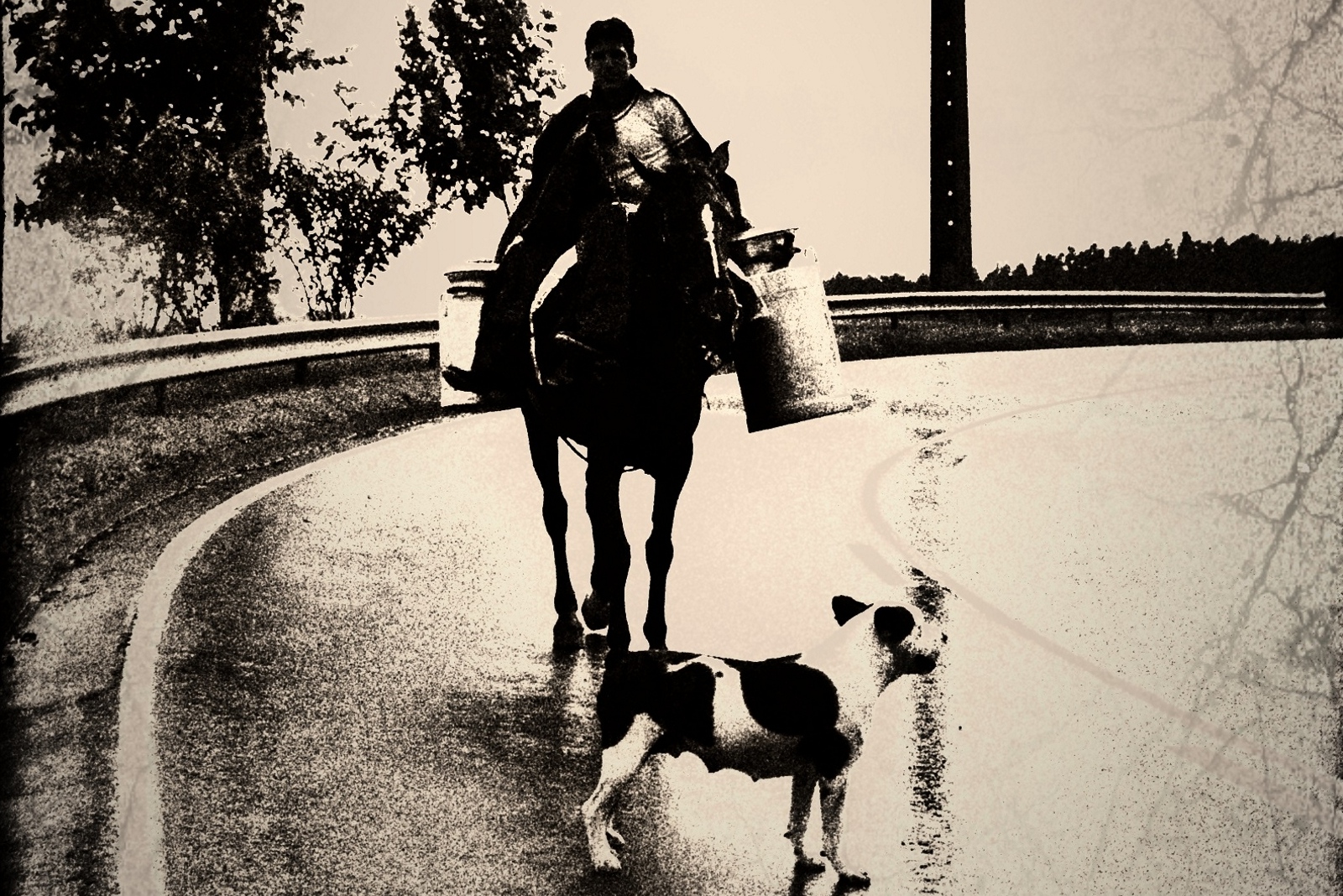 photographia®axelnoske